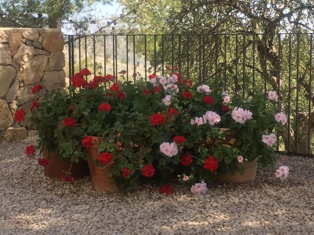 Finca El Otero Aigues Exterior foto